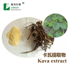 Chinesischer Kava-Kava-Extrakt
