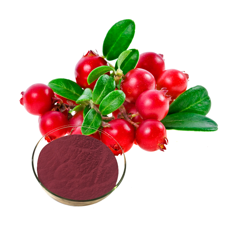 Cranberry-Extrakt-Pulver Proanthocyanidine