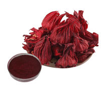 Roselle-Extraktpulver Hibiscus Sabdariffa L. Extraktpulver Anthocyanidine 5% UV 