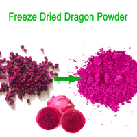 100% Reinheit gefriergetrocknetes Red Dragon Powder Pitaya-Fruchtpulver