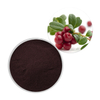 Cranberry-Extrakt-Pulver Proanthocyanidine